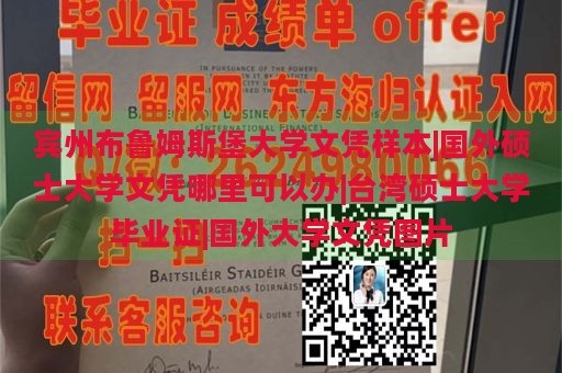 宾州布鲁姆斯堡大学文凭样本|国外硕士大学文凭哪里可以办|台湾硕士大学毕业证|国外大学文凭图片