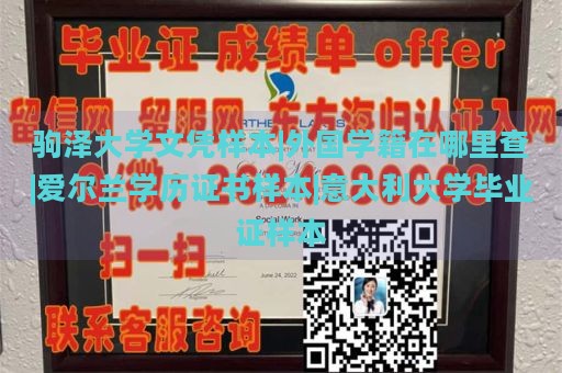 驹泽大学文凭样本|外国学籍在哪里查|爱尔兰学历证书样本|意大利大学毕业证样本