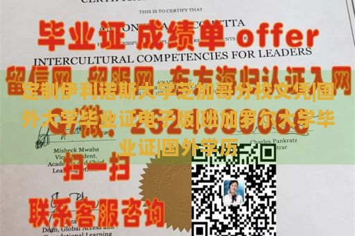 定制伊利诺斯大学芝加哥分校文凭|国外大学毕业证电子版|班加罗尔大学毕业证|国外学历