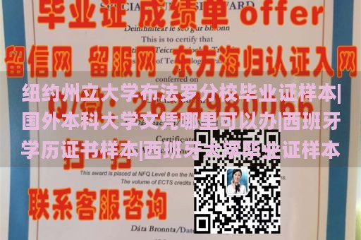 纽约州立大学布法罗分校毕业证样本|国外本科大学文凭哪里可以办|西班牙学历证书样本|西班牙大学毕业证样本