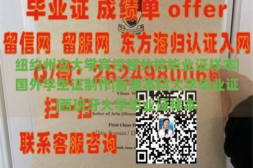 纽约州立大学宾汉顿分校毕业证样本|国外学生证制作|香港本科大学毕业证|西班牙大学毕业证样本