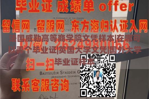 法国威勒高等商学院文凭样本|在哪可以弄个毕业证|英国大学文凭|国外大学毕业证样本