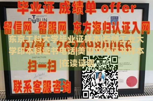 东京工科大学毕业证样本|石狮工业大学印本科证书电话|美国文凭证书样本|在读证明