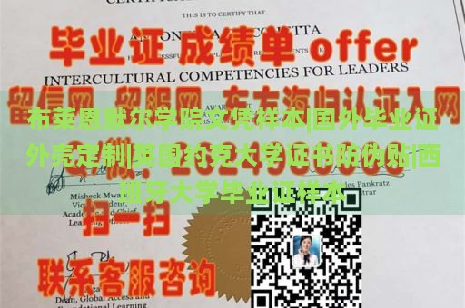 布莱恩默尔学院文凭样本|国外毕业证外壳定制|英国约克大学证书防伪贴|西班牙大学毕业证样本