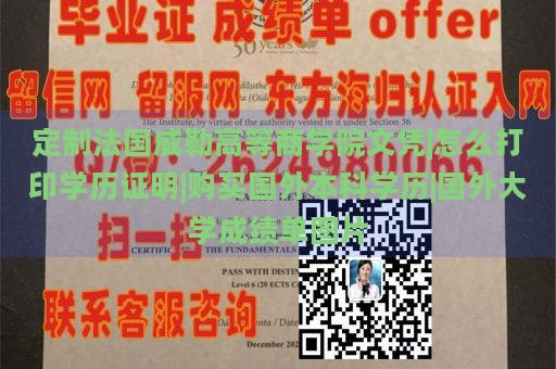 定制法国威勒高等商学院文凭|怎么打印学历证明|购买国外本科学历|国外大学成绩单图片