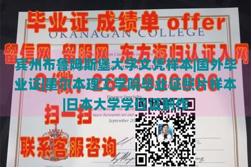 宾州布鲁姆斯堡大学文凭样本|国外毕业证|墨尔本理工学院毕业证照片样本|日本大学学位证制作