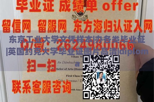 东京工业大学文凭样本|办各类毕业证|英国约克大学毕业证图片高清|diploma