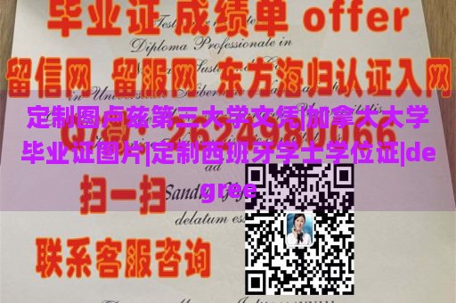 定制图卢兹第三大学文凭|加拿大大学毕业证图片|定制西班牙学士学位证|degree