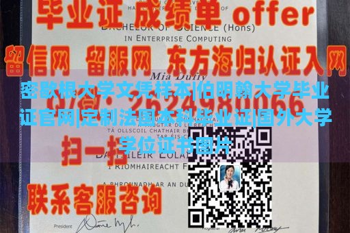 密歇根大学文凭样本|伯明翰大学毕业证官网|定制法国本科毕业证|国外大学学位证书图片