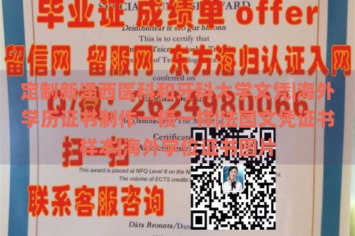 定制新泽西医科和牙科大学文凭|海外学历证书制作一模一样|法国文凭证书样本|海外学位证书图片