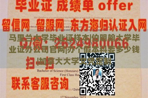 马里兰大学毕业证样本|伯明翰大学毕业证办公司官网|办个假本科要多少钱|加拿大大学文凭定制