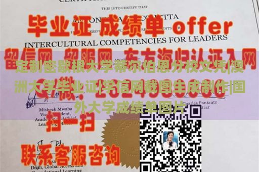 定制密歇根大学蒂尔伯恩分校文凭|澳洲大学毕业证|学信网截图生成制作|国外大学成绩单图片