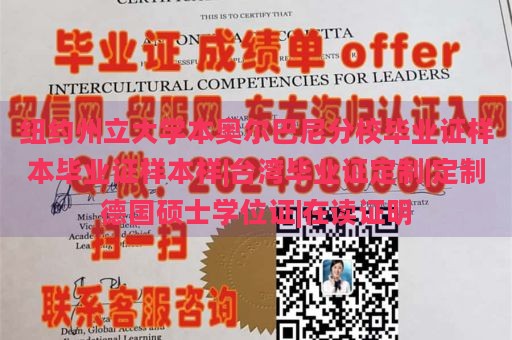 纽约州立大学本奥尔巴尼分校毕业证样本毕业证样本样|台湾毕业证定制|定制德国硕士学位证|在读证明