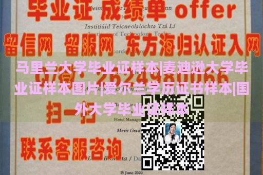 马里兰大学毕业证样本|麦迪逊大学毕业证样本图片|爱尔兰学历证书样本|国外大学毕业证样本