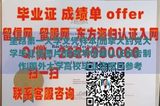 里昂第一大学文凭样本|加拿大约克大学毕业证图片|假的学信网认证报告制作|国外大学高校毕业证图片参考