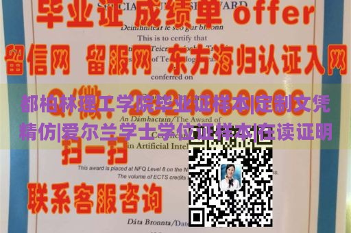 都柏林理工学院毕业证样本|定制文凭精仿|爱尔兰学士学位证样本|在读证明