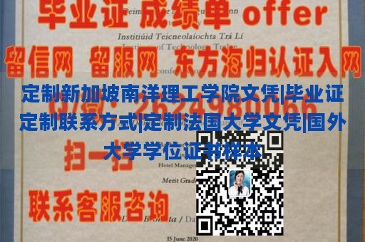 定制新加坡南洋理工学院文凭|毕业证定制联系方式|定制法国大学文凭|国外大学学位证书样本