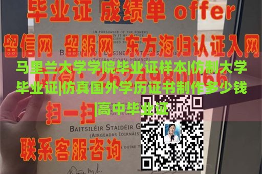 马里兰大学学院毕业证样本|仿制大学毕业证|仿真国外学历证书制作多少钱|高中毕业证