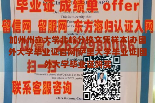 加州州立大学北岭分校文凭样本|办国外大学毕业证官网|萨里大学毕业证|国外大学毕业证购买