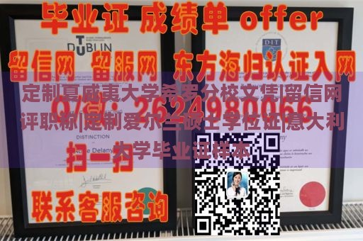 定制夏威夷大学希罗分校文凭|留信网评职称|定制爱尔兰硕士学位证|意大利大学毕业证样本