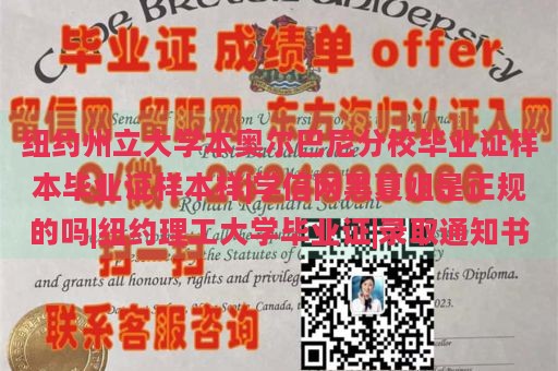 纽约州立大学本奥尔巴尼分校毕业证样本毕业证样本样|学信网黑夏姐是正规的吗|纽约理工大学毕业证|录取通知书