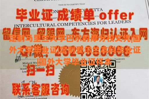 定制马里兰大学巴尔的摩分校文凭|国外大学毕业证|定制爱尔兰本科毕业证|国外大学毕业证样本