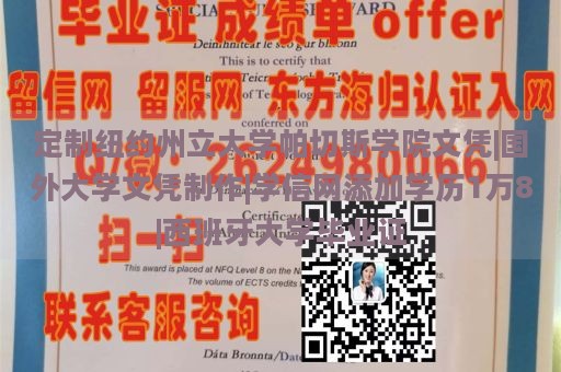 定制纽约州立大学帕切斯学院文凭|国外大学文凭制作|学信网添加学历1万8|西班牙大学毕业证