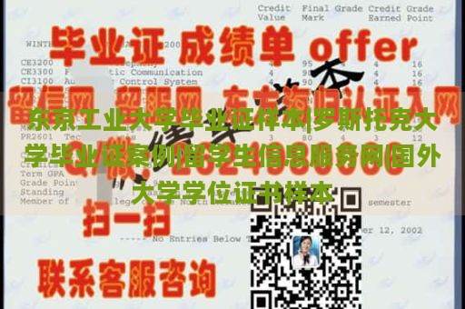 东京工业大学毕业证样本|罗斯托克大学毕业证案例|留学生信息服务网|国外大学学位证书样本