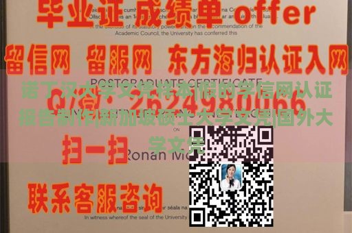 诺丁汉大学文凭样本|假的学信网认证报告制作|新加坡硕士大学文凭|国外大学文凭