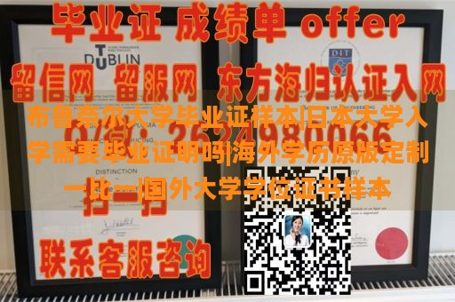 布鲁奈尔大学毕业证样本|日本大学入学需要毕业证明吗|海外学历原版定制一比一|国外大学学位证书样本