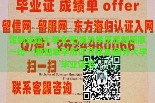 定制成蹊大学文凭|海外学历定制原版一比一|新加坡学历证书样本|国外大学毕业证书