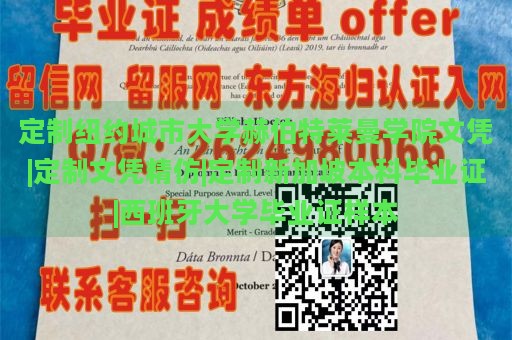 定制纽约城市大学赫伯特莱曼学院文凭|定制文凭精仿|定制新加坡本科毕业证|西班牙大学毕业证样本