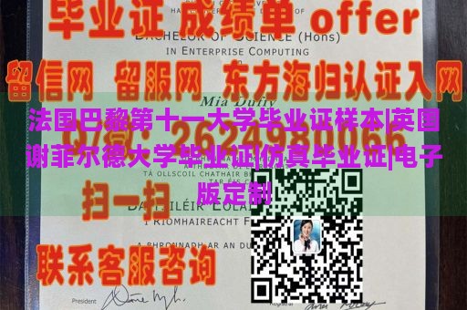 法国巴黎第十一大学毕业证样本|英国谢菲尔德大学毕业证|仿真毕业证|电子版定制