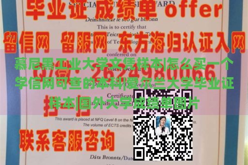 慕尼黑工业大学文凭样本|怎么买一个学信网可查的本科|爱尔兰大学毕业证样本|国外大学成绩单图片