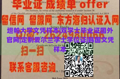 坦帕大学文凭样本|双学士毕业证国外官网|定制爱尔兰学士学位证|韩国文凭样本