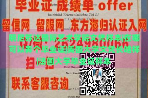 明尼苏达国际艺术学院文凭样本|在哪可以弄个毕业证|美国大学文凭长啥样|法国大学毕业证样本