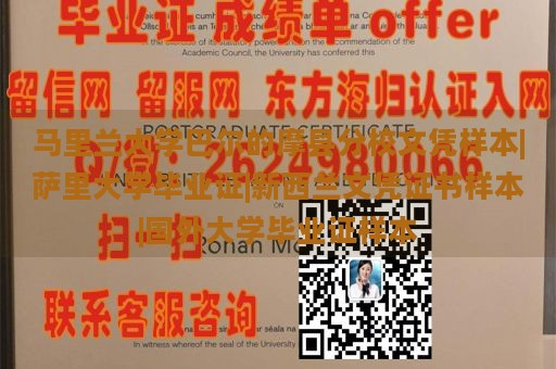 马里兰大学巴尔的摩县分校文凭样本|萨里大学毕业证|新西兰文凭证书样本|国外大学毕业证样本