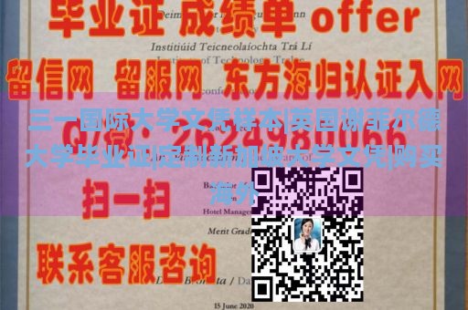 三一国际大学文凭样本|英国谢菲尔德大学毕业证|定制新加坡大学文凭|购买海外