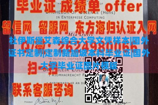 杜伊斯堡艾森综合大学文凭样本|国外证书定制|定制新加坡本科毕业证|国外大学毕业证图片模版